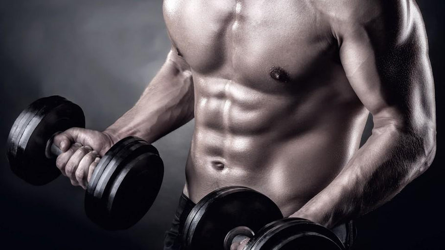 How to Bulk Up Your Biceps With Dumbbell Biceps Curls