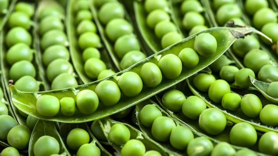 7 Amazing Health Benefits Of Pea Protein Powders