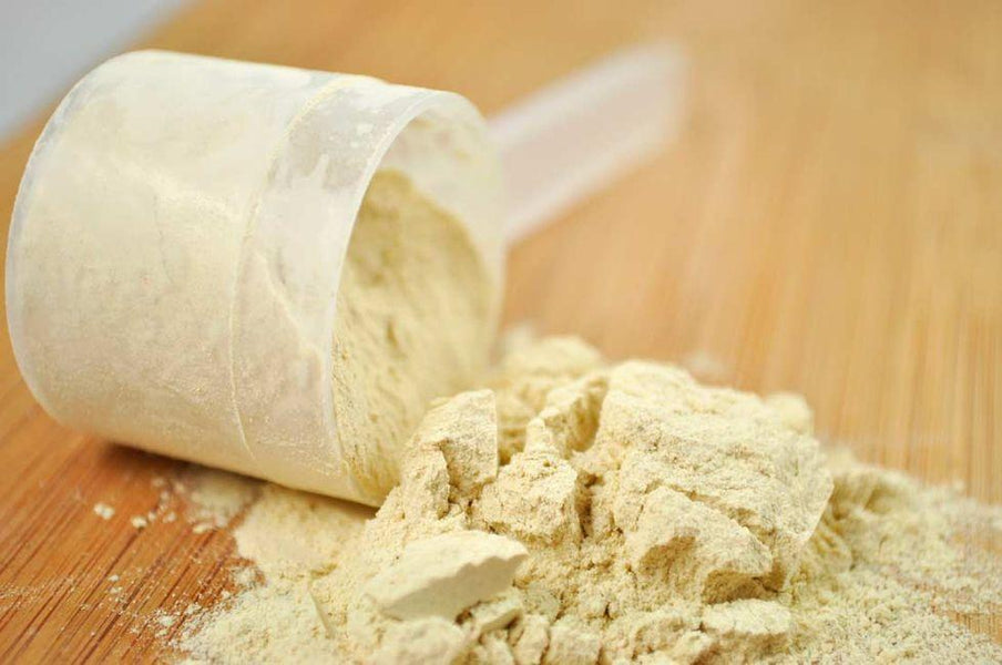 Do We Need To Supplement With Digestive Enzymes For Digesting Whey?